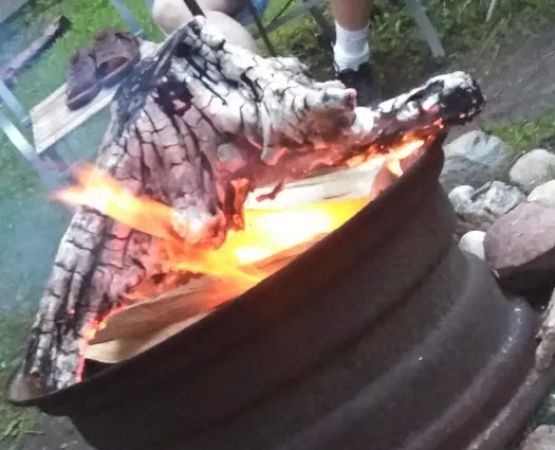 Acorn Acres on Rose Lake