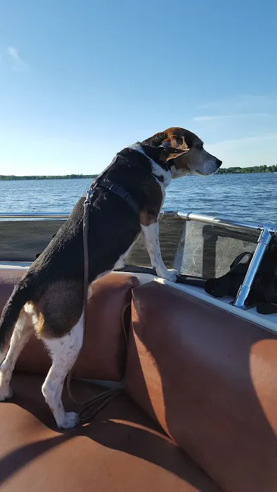 Tony's Campground Picture 5