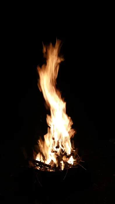 Tony's Campground Picture 7