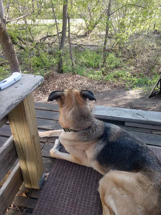 Tony's Campground Picture 4