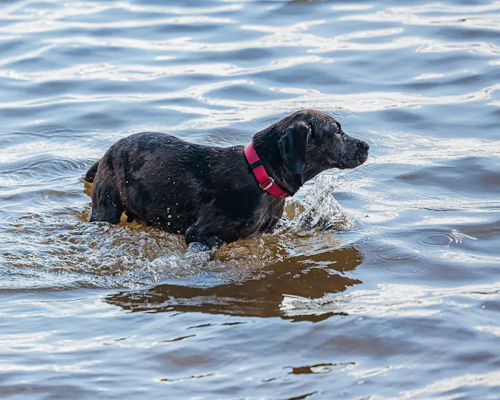 Lake Jacksonville Park Picture 10