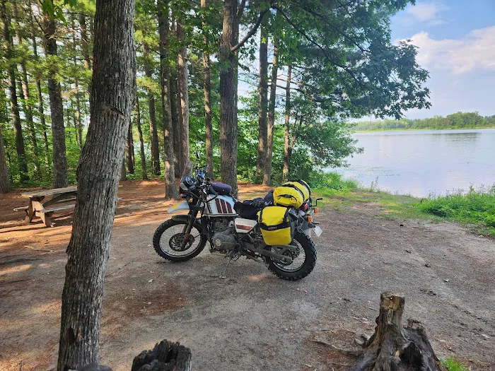 Hungryman Forest Campground Picture 2