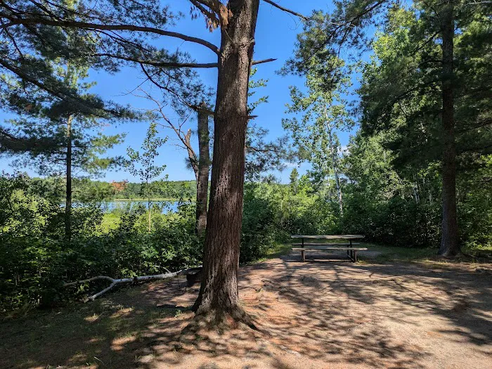 Hungryman Forest Campground Picture 8