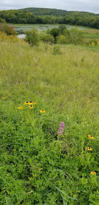 Hungryman Forest Campground Picture 5