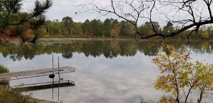 Hungryman Forest Campground Picture 9