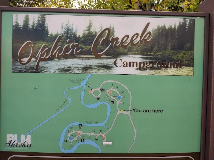 Ophir Creek Campground Picture 4