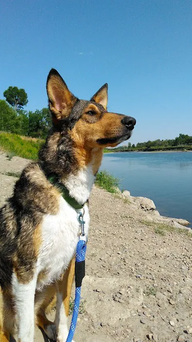 Williamson Park Campground Picture 6