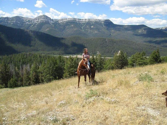 Benchmark Campground Picture 5