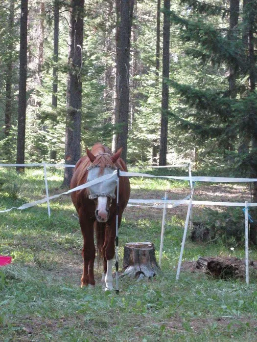 Benchmark Campground Picture 4