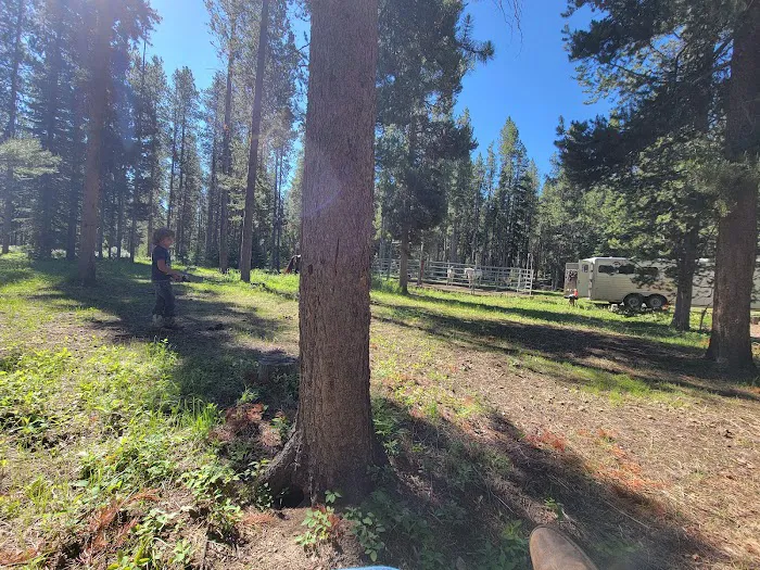 Benchmark Campground Picture 6