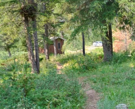 Wood Lake Campground