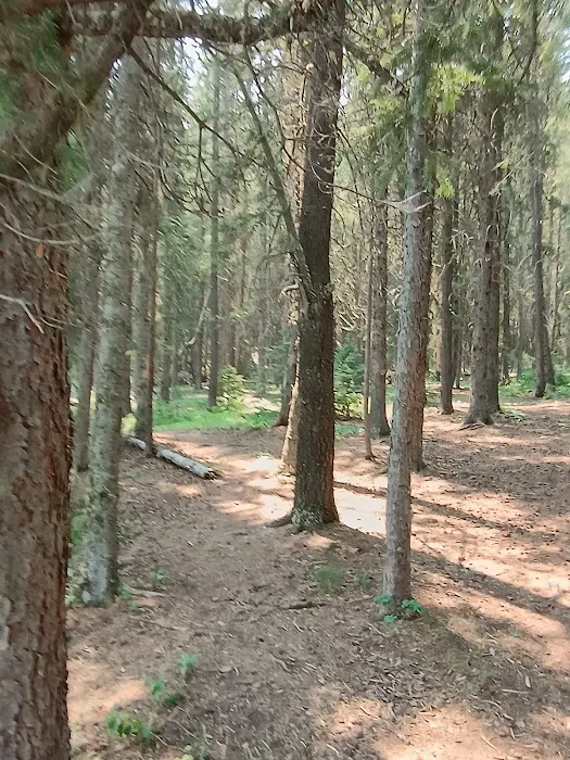 Wood Lake Campground Picture 8