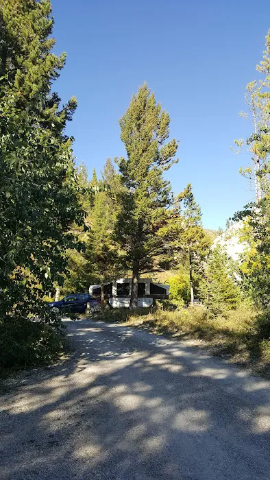 Wood Lake Campground Picture 6