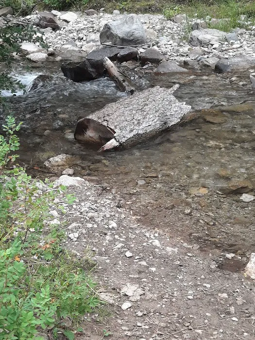 Double Falls Campground Picture 6