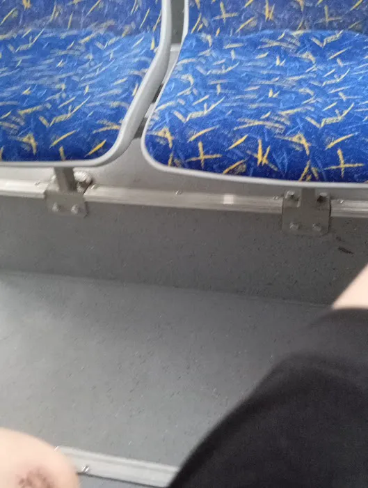 US Forestry Department Picture 1