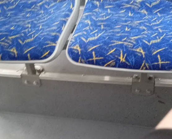 US Forestry Department