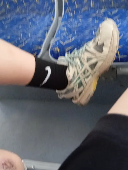 US Forestry Department Picture 2