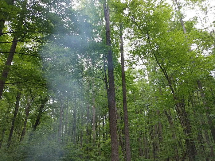 Lake of the Pines State Campground Picture 10