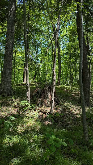 Lake of the Pines State Campground Picture 8