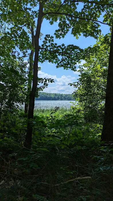 Lake of the Pines State Campground Picture 5