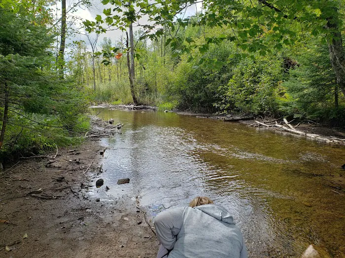 Connors Lake State Campground Picture 8