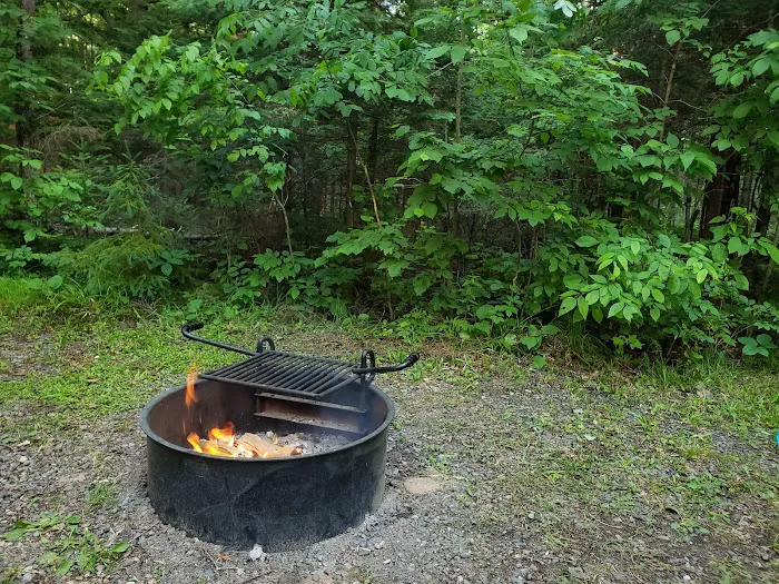 Connors Lake State Campground Picture 5