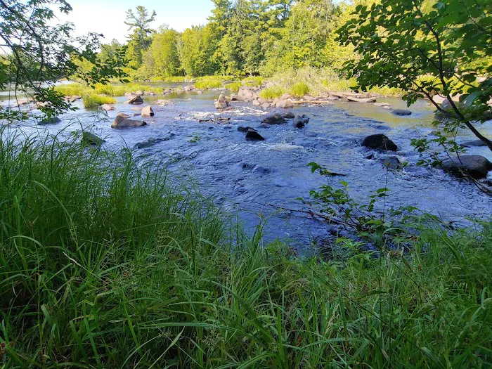 Connors Lake State Campground Picture 10