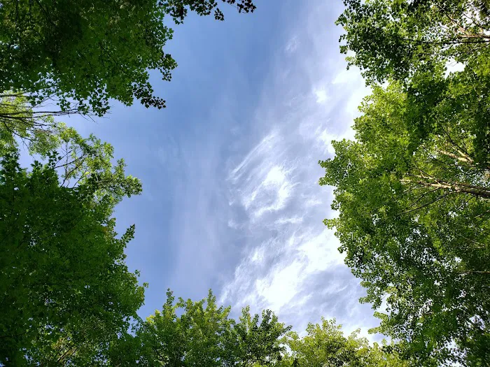 Connors Lake State Campground Picture 7