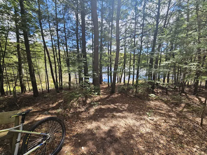 Dog Lake Shelter Picture 9