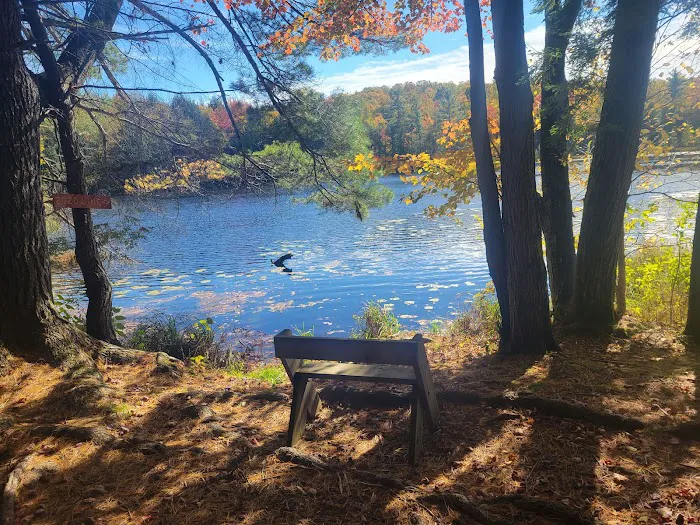 Dog Lake Shelter Picture 8