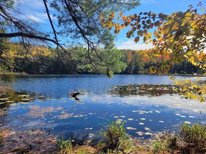 Dog Lake Shelter Picture 5