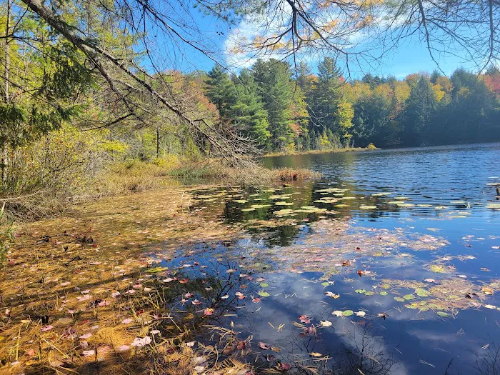 Dog Lake Shelter Picture 4