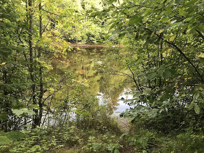 Stockfarm Bridge Campground Picture 8