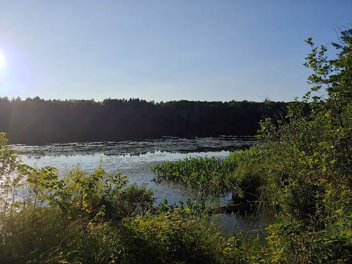 Black Lake Campground Picture 9