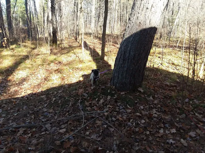 Black Lake Picture 7