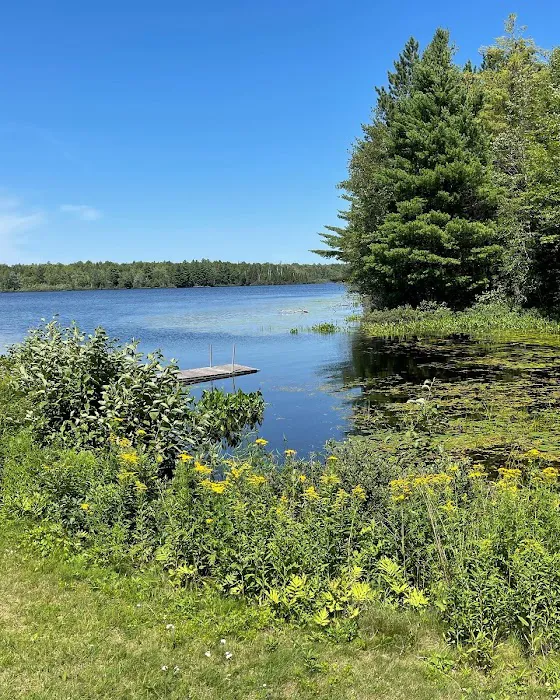 Black Lake Picture 8