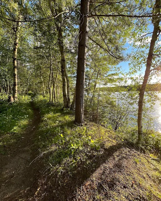 Black Lake Picture 6