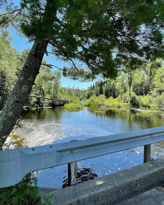 Black Lake Picture 10