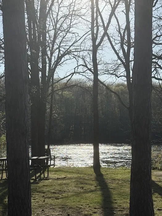 Camp New Wood County Campground Picture 4