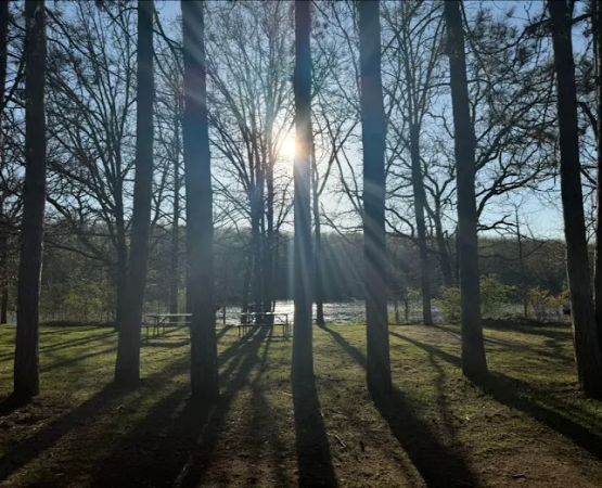 Camp New Wood County Campground