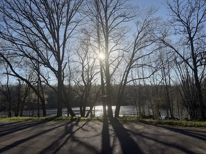 Camp New Wood County Campground Picture 6