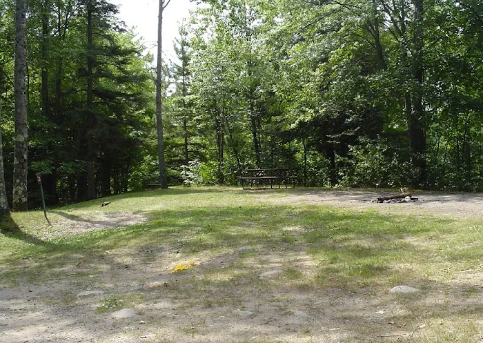 Camp New Wood County Campground Picture 5