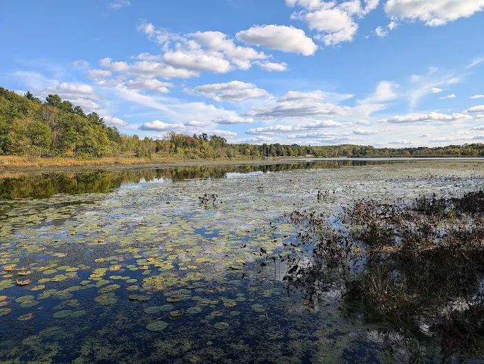 Spirit Lake Campground Picture 10