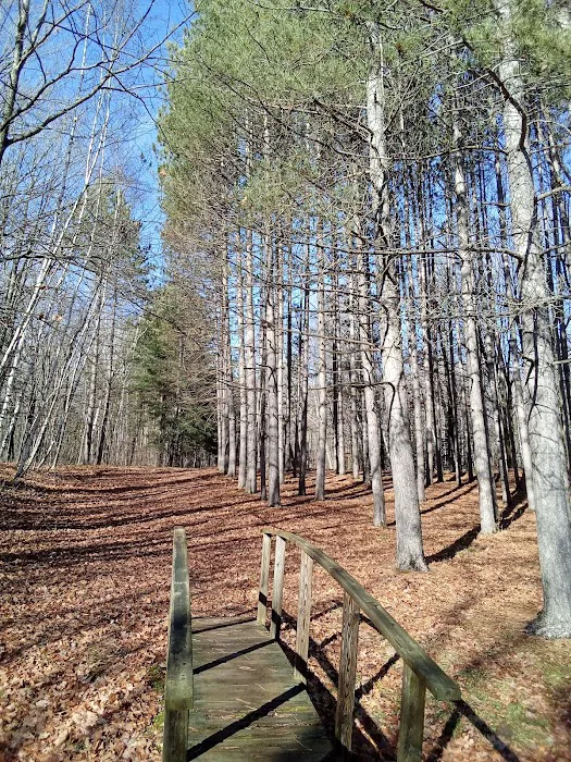 Wood Lake Campground Picture 1