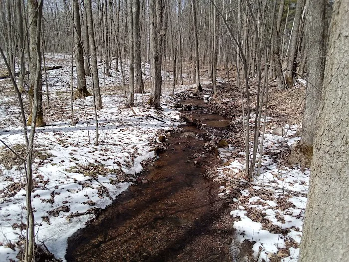 Wood Lake Campground Picture 7