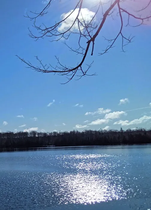 Wood Lake Campground Picture 5