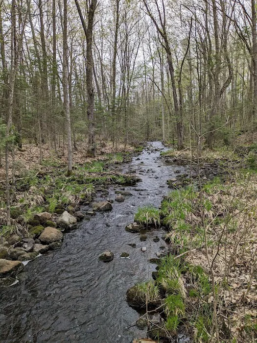 Wood Lake Campground Picture 10