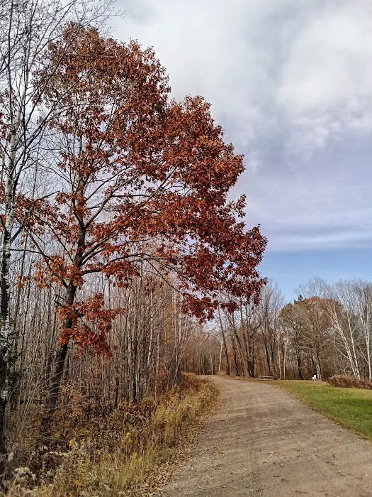 Camp 8 Camping Picture 5