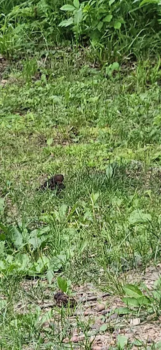 Lake view Park and Campground Picture 2