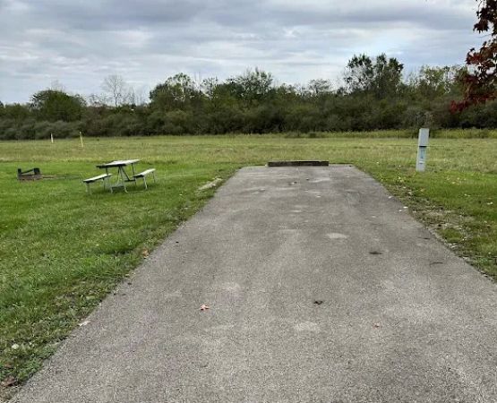 Campsite 201 (Electric Only)